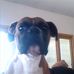 Profile Picture of Jeffrey Stieb (@Jeffrey-Stieb) on Facebook