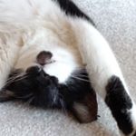 Profile Picture of Frances Joanne Schmidt (@_franki.e_) on Instagram