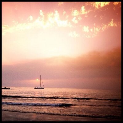 Profile Picture of Juan Reveron (@jfreveron3) on Twitter