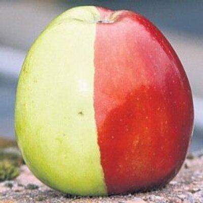 Profile Picture of Andrew Morrish (@Regmo123) on Twitter