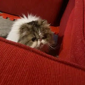 Profile Picture of Julian Suarez (@JulianSuarezwork) on Youtube