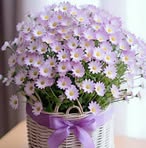 Profile Picture of Trefa Juma (@Trefa-Juma) on Facebook