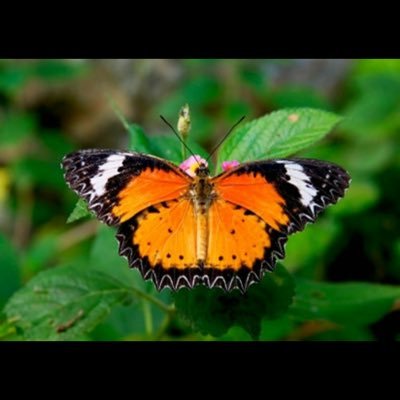 Profile Picture of Dee Hutson (@hutson_dee) on Twitter