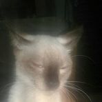 Profile Picture of Helena Giberty (@helena.giberty) on Facebook