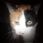 Profile Picture of Dustin Skipworth (@dustin.skipworth.9) on Facebook