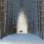 Profile Picture of julia corrales (@corrales4063) on Instagram