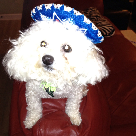 Profile Picture of Shawna Robilio (@srobilio) on Poshmark