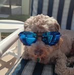 Profile Picture of Terry Counts (@terry.counts.2025) on Facebook