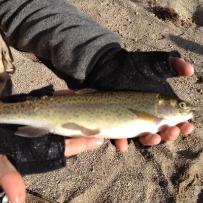 Profile Picture of George Cahill (@georegcahill) on Twitter