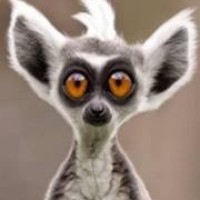 Profile Picture of José Leandro (@josé-leandro) on Quora