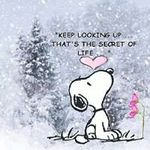 Profile Picture of Serena Matthews (@serena.matthews.370) on Instagram