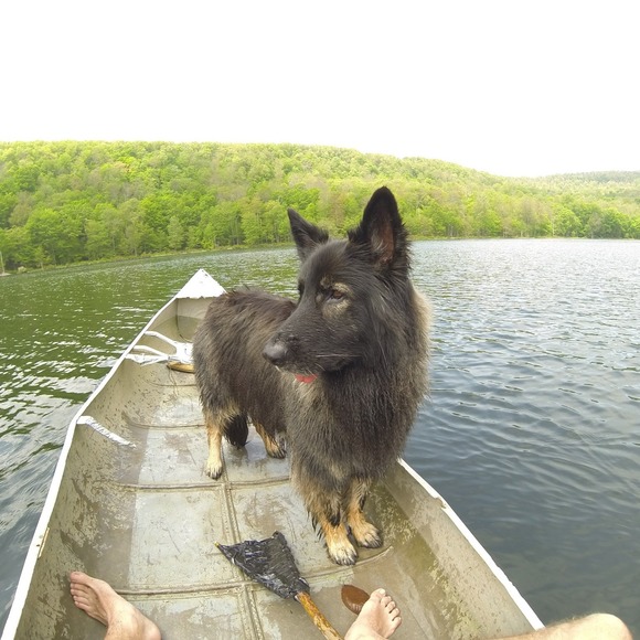 Profile Picture of Tom Demayo (@fishome25) on Poshmark