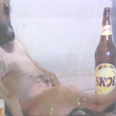 Profile Picture of Kim Boomer (@kim_boomer) on Twitter