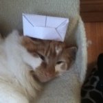 Profile Picture of Daniel (@daniel_bremner) on Instagram