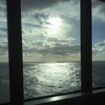 Profile Picture of Erika Ellett-Hudgens (@dandylionele) on Instagram