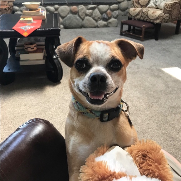 Profile Picture of Jon Stoelting (@jonstoelting) on Poshmark