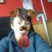 Profile Picture of Carlos Javier Cottenie (@carlosjaviercottenie) on Pinterest