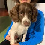Profile Picture of Robyn Pollock (@robynspollock) on Instagram