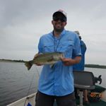 Profile Picture of Tom Mickelson (@tom.mickelson) on Instagram