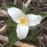 Profile Picture of Avery Dyer (@bad_behavery) on Instagram