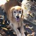 Profile Picture of Elizabeth Peterson (@elizabeth.peterson.1675) on Facebook