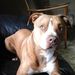 Profile Picture of Justin Ewing (@justin7752) on Pinterest