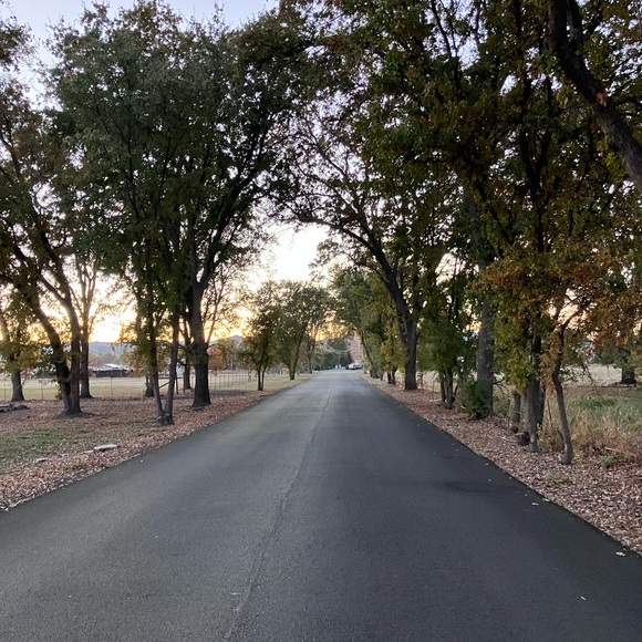 Profile Picture of Ava Purser (@28purava) on Poshmark