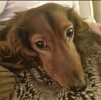 Profile Picture of Cody Craig (@cody.craig.5621) on Facebook