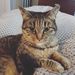 Profile Picture of Abby Post (@mrspost) on Pinterest