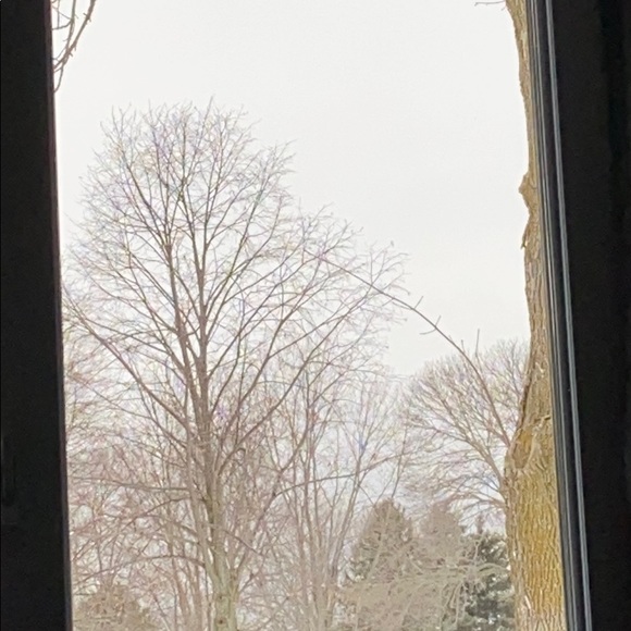 Profile Picture of Blake Boeckman (@blake_b97) on Poshmark