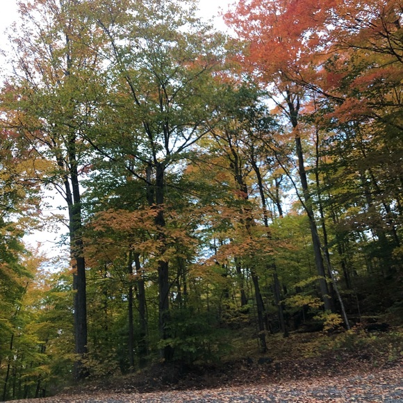 Hatice Sansarlioglu - Poshmark Profile Picture of Hatice Sansarlioglu (@haticereyhane) on Poshmark