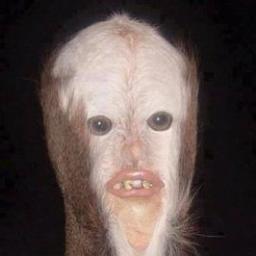 Profile Picture of John Fiegel (@SeasonedCreeper) on Twitter