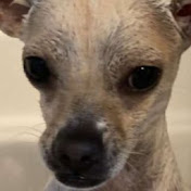 Profile Picture of Alex Jaramillo (@alexjaramillo2476) on Youtube