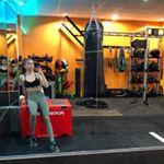 Profile Picture of Haley Ward (@honestwellness_) on Instagram