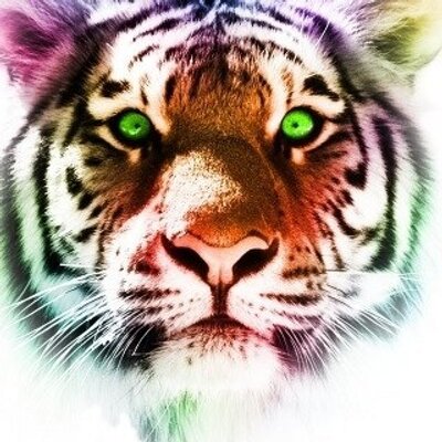 Profile Picture of BeN ChArLiE GaNtT (@megajesup) on Twitter