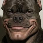 Profile Picture of Jason Mante (@Jason-Mante) on Facebook