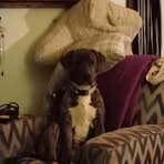 Profile Picture of Alvin Birkhimer (@Alvin-Birkhimer) on Facebook