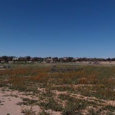 Profile Picture of Samuel John Gaillard (@SamuelJohnGail2) on Twitter