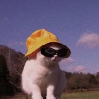 Lorenza Martinez - Twitter Profile Picture of Lorenza Martinez (@Lorenza21271500) on Twitter