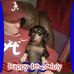 Profile Picture of Jana Howard Bertus (@janahoward.bertus) on Facebook