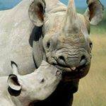 Peter - Instagram Profile Picture of Peter (@petermercier) on Instagram