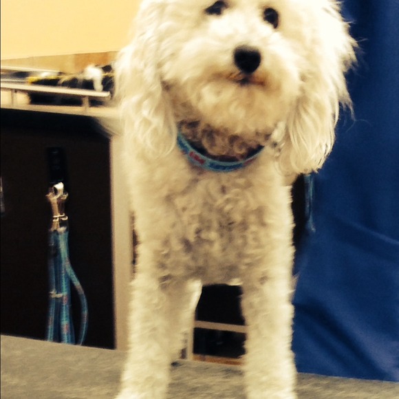 Profile Picture of Kelly Mcfarland (@kelsbels79) on Poshmark