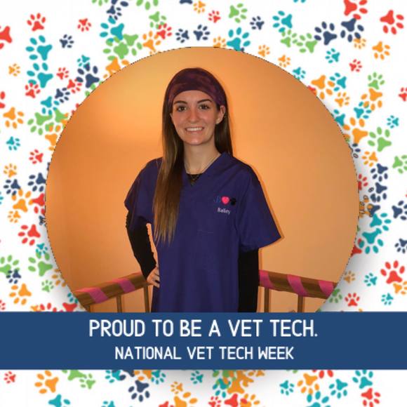 Profile Picture of Bailey Sylvester (@baileyx0xo33) on Poshmark