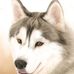 Profile Picture of Sandra Engell (@Sandra-Engell) on Facebook