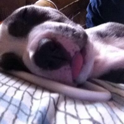Profile Picture of James Looper (@JamesLooper1) on Twitter