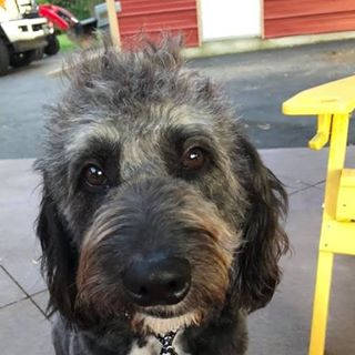 Profile Picture of Robin Schaffer (@robin.schaffer1) on Facebook