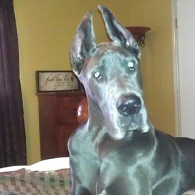 Profile Picture of Brian Hare (@Brianhare67) on Twitter