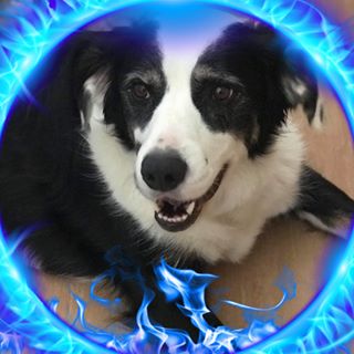 Profile Picture of Kenneth Stevens (@Kenneth-Stevens) on Facebook