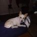 Profile Picture of Felicia Bell Hooker (@felicia.bell.948) on Facebook