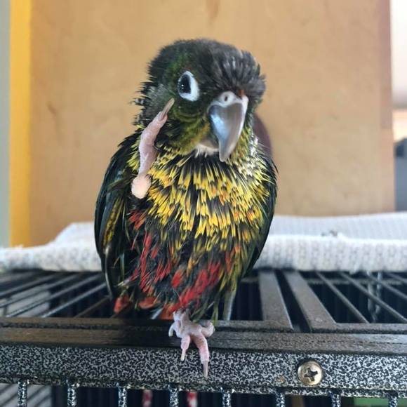 Profile Picture of Lynn Bridger (@lynnbridger) on Poshmark